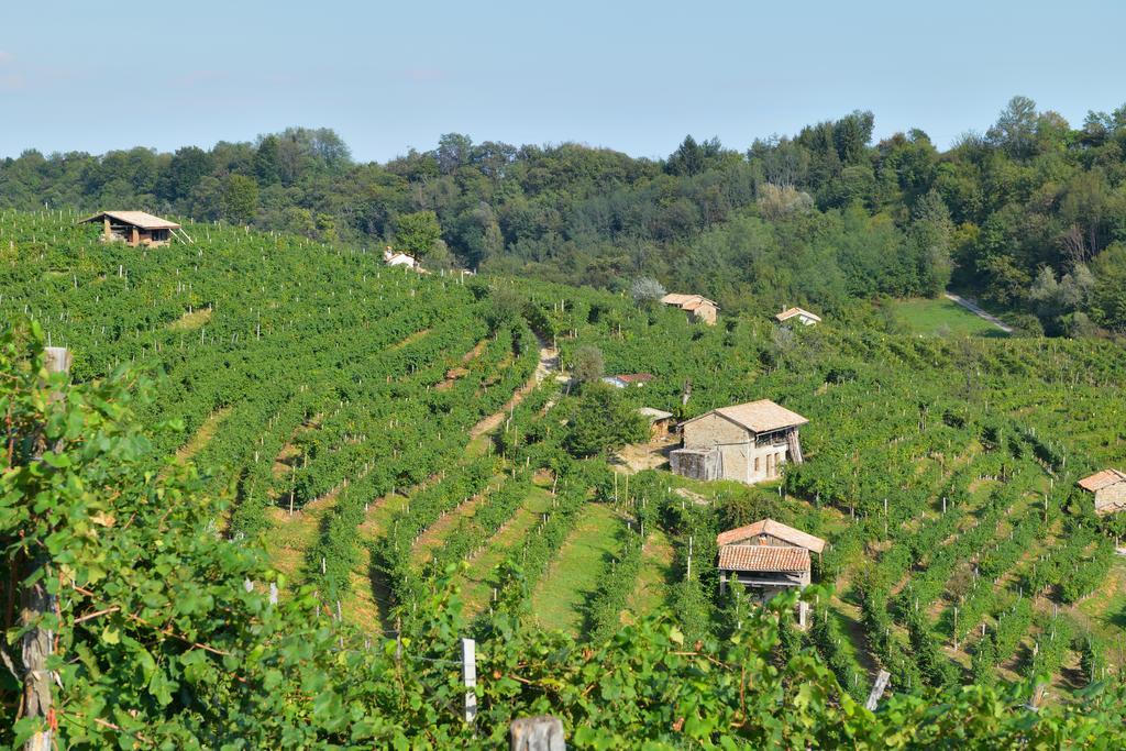 Agriturismo Crodi ミアーネ エクステリア 写真