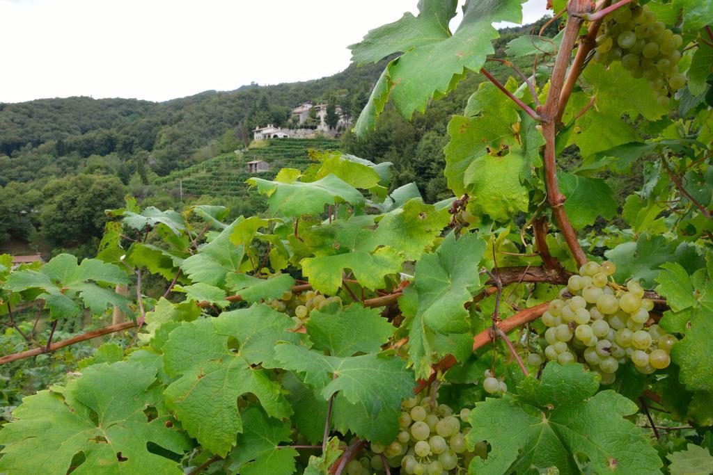 Agriturismo Crodi ミアーネ エクステリア 写真