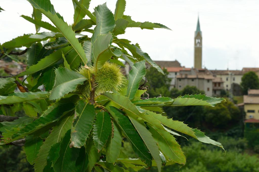Agriturismo Crodi ミアーネ エクステリア 写真